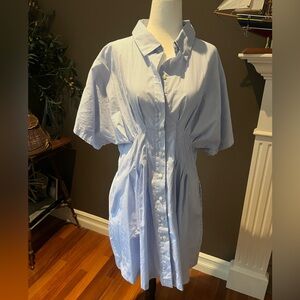 Blue Striped Button-Up Dress